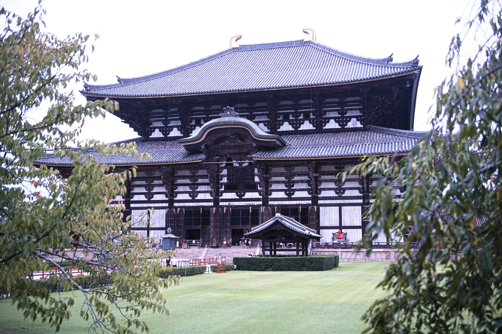 Nara Park Temples and Shrines